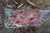 Canadian Bacon